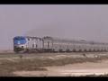 Amtrak Coast Starlight #11 at Alviso, California
