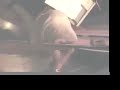 Al Di Meola and Gonzalo Rubalcaba jam