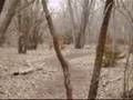 Disc Golf 2008 Ice Bowl
