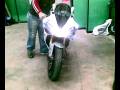 videos de YAMAHA R1 di giordano domenico 