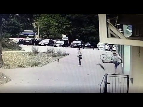 Agresywny mężczyzna, który kopnął psa okazał się strażnikiem miejskim