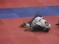 Allan Kell luta 1 Abs. Marrom Mundial cbjje