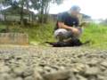 videos de MOV00002.3gp