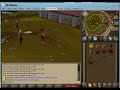 new 317 runescape private server!