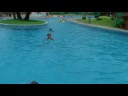 goa-lazing in the pool goa-lazing in the pool