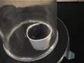 Freeze Water by Boiling