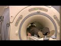 What Does an MRI Scan Sound Like?