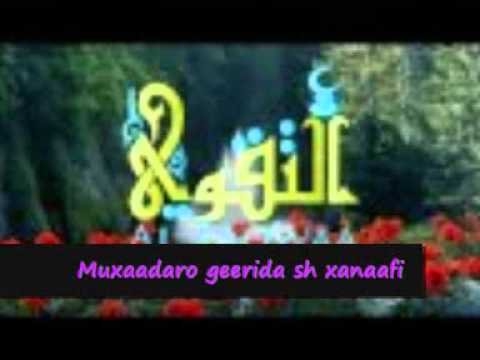 See video See video