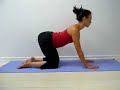 spinal wave