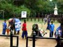 Samphran elephant park