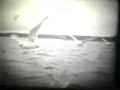 Scilly 1958. Cine Film memories Scilly 1958. Cine Film memories