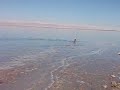 死海