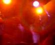 Golddigga