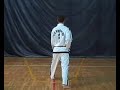 Saju Jirugi by Mariusz Steckiewicz - Taekwon-Do  ITF
