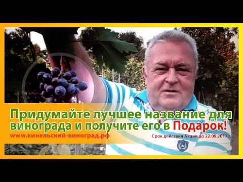 Придумайте лучшее название для винограда и получите Подарок! Акция действует до 22.09.2017 г.