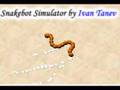 Evolution of Simulated Snake-like Robot