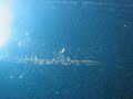 gary-allan-111507.html