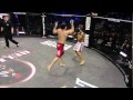 Bellator 39 moment Patricky Pitbull delivers a devastating flying knee to Toby Imada