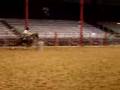 Taz-Barrel-Racing