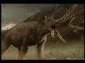 Legolas and the Oliphant