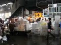 japan fish