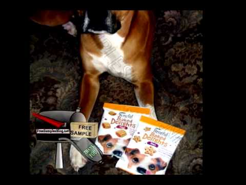 Free Sample Beneful Baked Delights Dog Treats