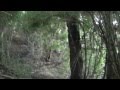 Chilean Patagonia MONTE RISE AMID A JUNGLE ...