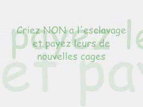Image de prévisualisation YouTube