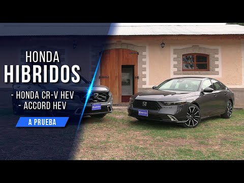 Honda CR-V HEV y Accord HEV ¿los mejores híbridos a la venta en México? | 