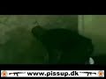 Airsoft med Pissup i Budapest