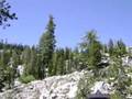 Trinity Alps 2007 - Fox Creek Lake