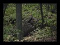 Two Pa Bucks