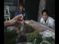 boon-kud-chum-community-currency-system.html