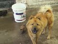 Nala e Hijos Nala e Hijos
