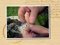 Brad DFX scores 1944 mercury dime