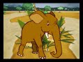 Passeio Animal - Gavião de Penacho