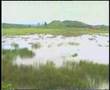 Buddha Weeps in Jadugoda, Part 2 of 6
