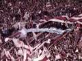 River - Los Borrachos