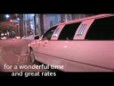 All Occasion Limousine