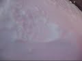 allen and jordan perisher snow bodying