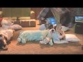 New York Lottery Sweet Million Commercial Doll Face Persian Kittens