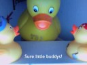 the duckys