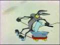 Wile Coyote Mosconi 2