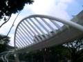 Southern Ridges - From Marang Trail to Kent Ridge Park via Forest Walk by market2garden