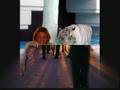videos de Cris Campos.WMV