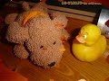 la danse des canards