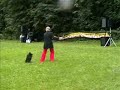 Dog Dancing