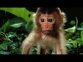 http://www.youtube.com/watch?v=8pasAi28OI4