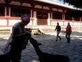 Japon Octubre 07