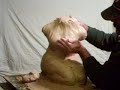 Young Lady tickling Tommy - Tommy l�sst sich kraulen